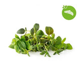 Click and Grow Smart Garden Refill 9-pack Italienske urter