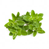 Click and Grow Smart Garden Refill 3-pakk - Merian