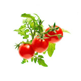 Click and Grow Smart Garden Refill 3-pakke - Miniatyrtomater