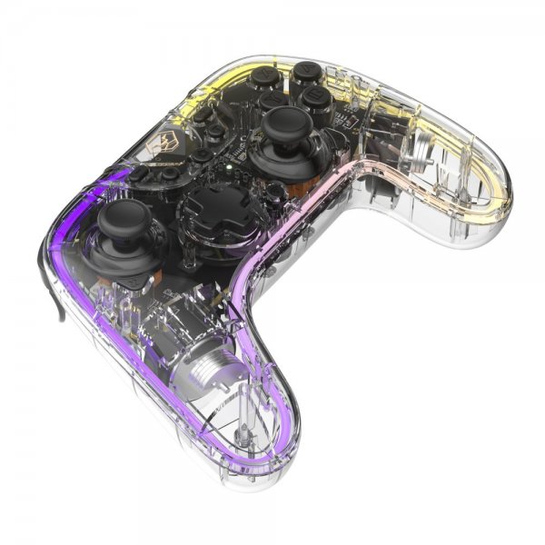 Aolion Nintendo Switch Controller Transparent RGB