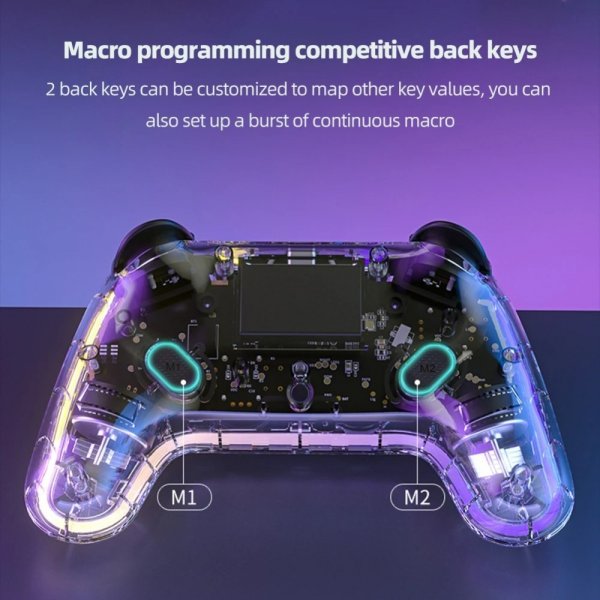 Aolion Nintendo Switch Controller Transparent RGB