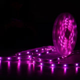 Lite bulb moments Waterproof LED Strip Light 5M RGBW