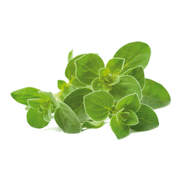 Click and Grow Smart Garden Refill 3-pakk - Oregano