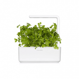 Click and Grow Smart Garden Refill 3-pakk - Persille