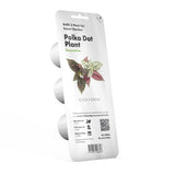 Click and Grow Smart Garden Påfyll 3-pakke - Rosenstråler