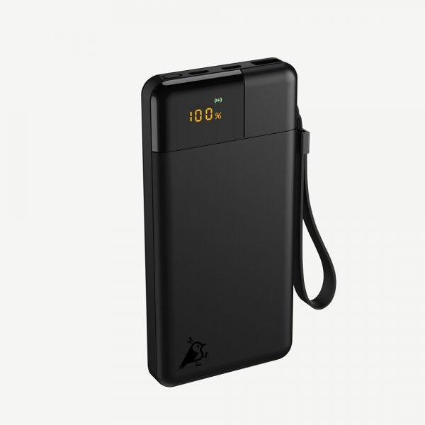 Aqiila Powerbank Powerbird B10 10 000 mAh Svart