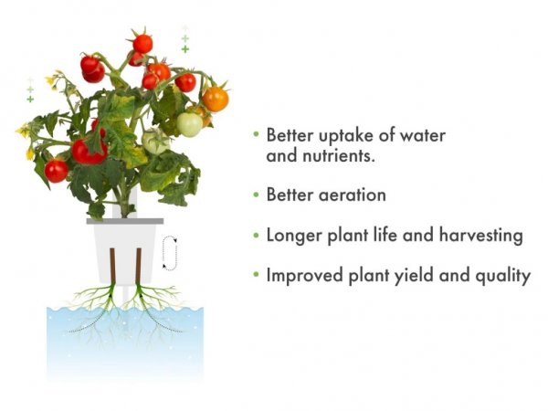 Click and Grow Pro Plant Kopper 9-pack