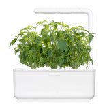 Click and Grow Smart Garden Refill 3-pack - Thai basilikum