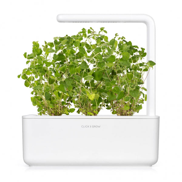 Click and Grow Smart Garden Refill 3-pakk - Oregano