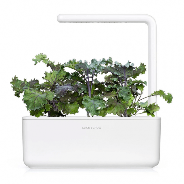 Click and Grow Smart hagepåfylling 3-pakke - Rødkål