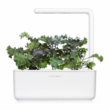 Click and Grow Smart hagepåfylling 3-pakke - Rødkål