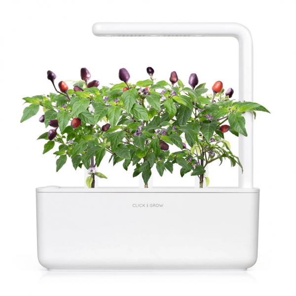 Click and Grow Smart Garden Refill 3-pakke - Lilla Chilipepper