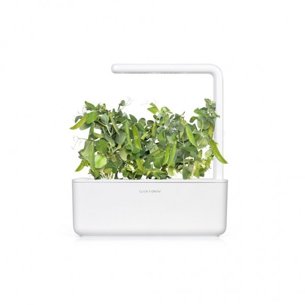 Click and Grow Smart Garden Refill 3-pack - Dvergertær