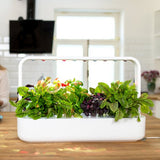 Click and Grow Smart Garden 9 Start Kit Hvit