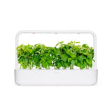 Click and Grow Smart Garden Refill 3-pack - Kanelbasilikum