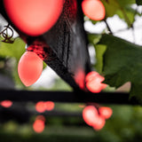 Lite bulb moments Smart String Lights - Oval Globe