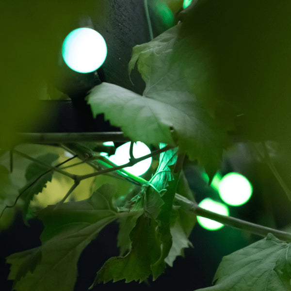 Lite bulb moments Smart String Lights - Globe 3 cm