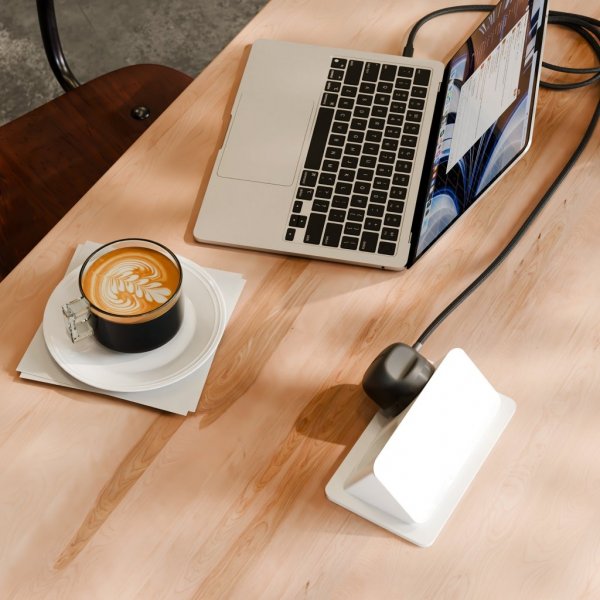 Twelve South PowerCord USB-C Lader 3 meter Slate