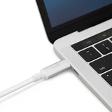 Moshi USB-C til DisplayPort-kabel 1.5 m Hvit