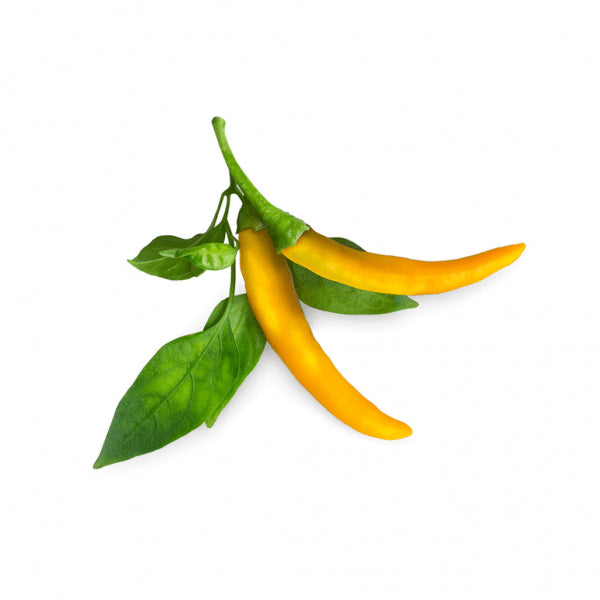 Click and Grow Smart Garden Refill 3-pack - Gult Chili Pepper
