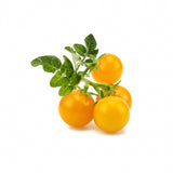 Click and Grow Smart Garden Refill 3-pakning - Gul tomat